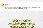 娱乐吃瓜酱退税,揭秘明星们的税务秘密与福利